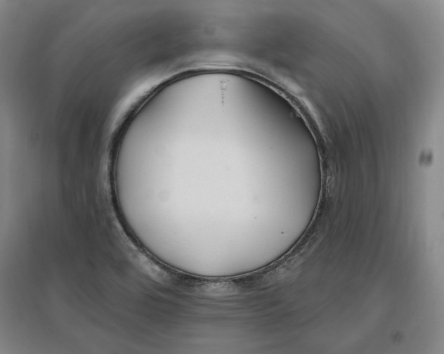 X0000096971464200802291110