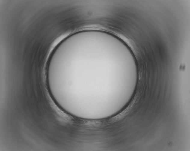 X0000096971466200802291110