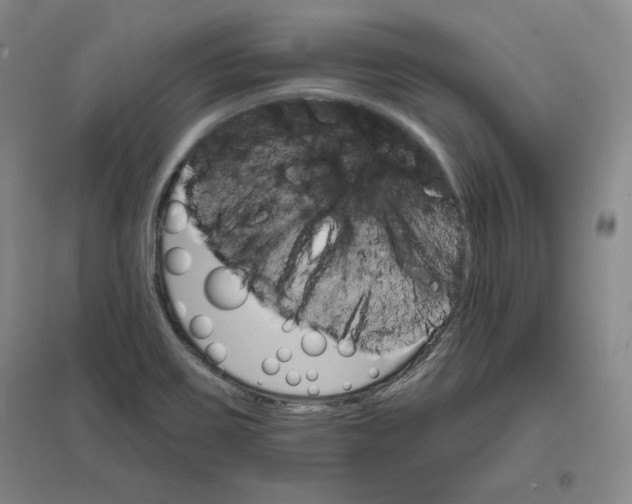 X0000096971467200802291110