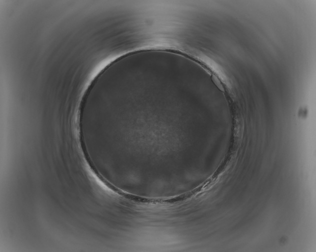 X0000096971468200802291110