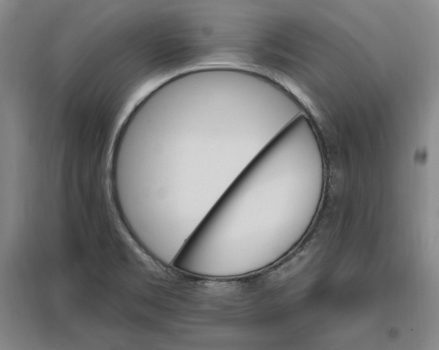 X0000096971469200802291109