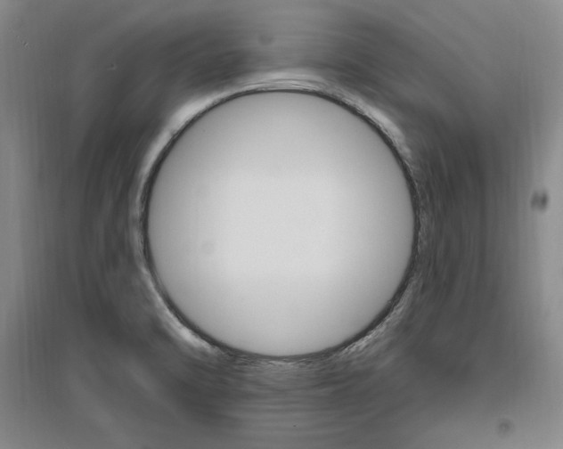 X0000096971470200802291109