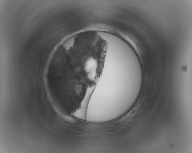 X0000096971471200802291109