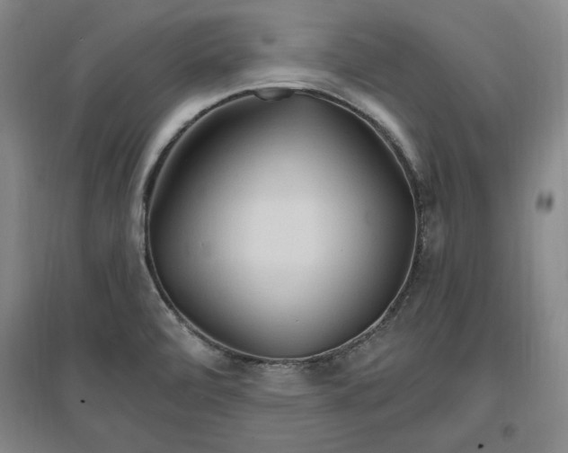 X0000096971472200802291109