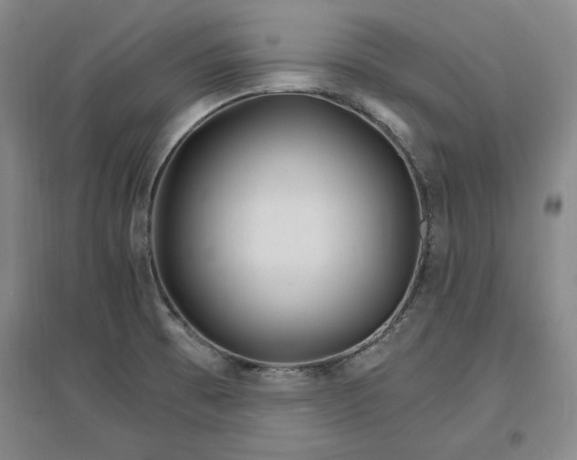 X0000096971473200802291109