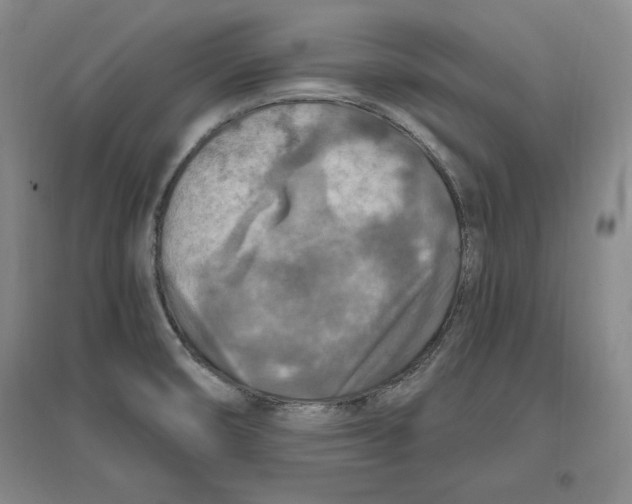 X0000096971474200802291109