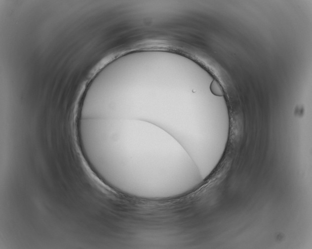 X0000096971475200802291109