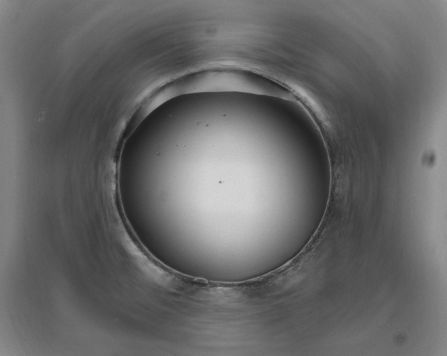 X0000096971476200802291109