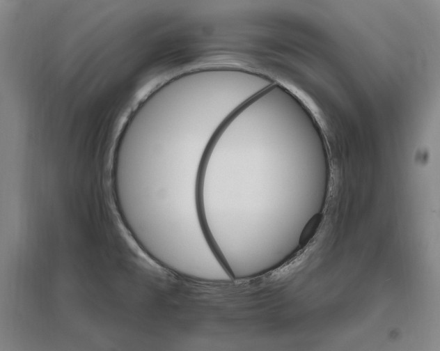 X0000096971477200802291109