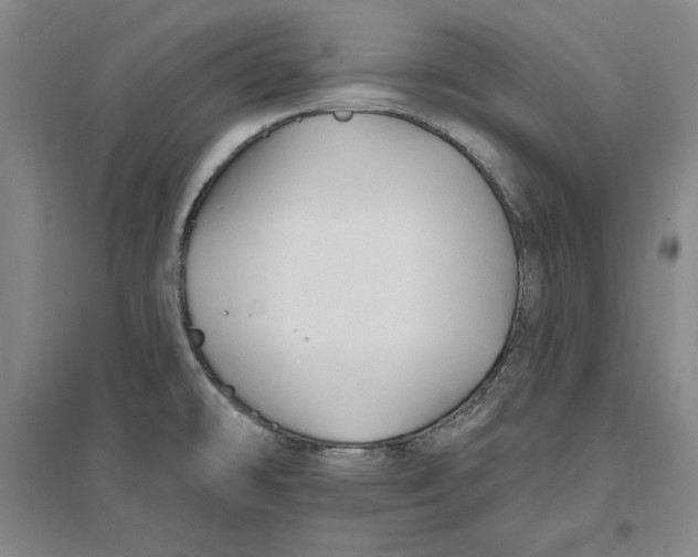 X0000096971478200802291109