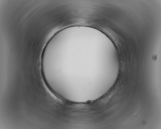 X0000096971479200802291109