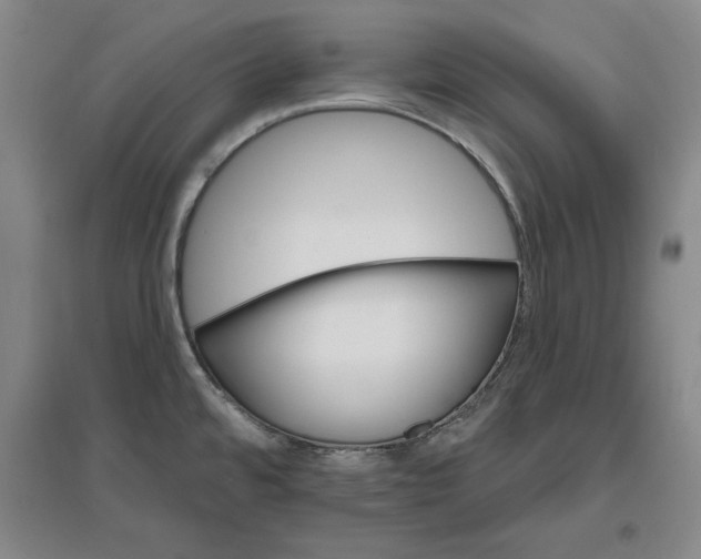 X0000096971480200802291109