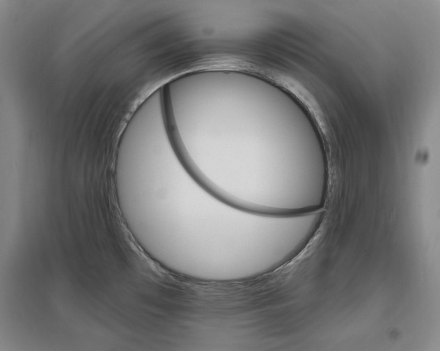 X0000096971481200802291109