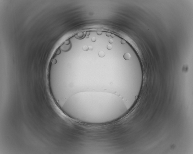 X0000096971482200802291109