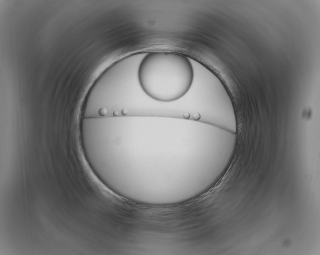 X0000096971483200802291109