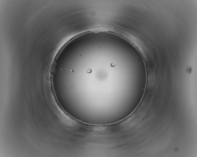 X0000096971484200802291109