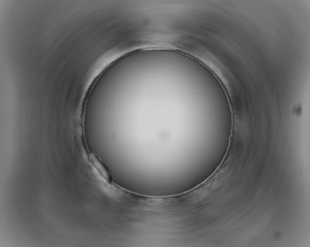 X0000096971485200802291109