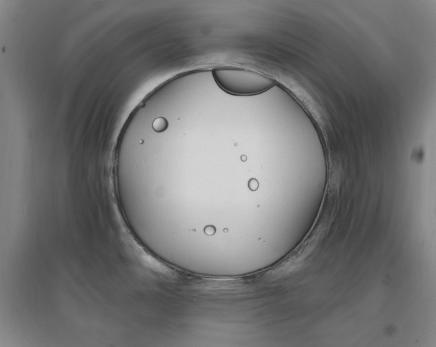 X0000096971486200802291109