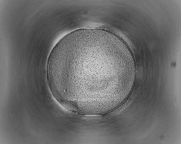 X0000096971487200802291109