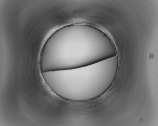 X0000096971488200802291109