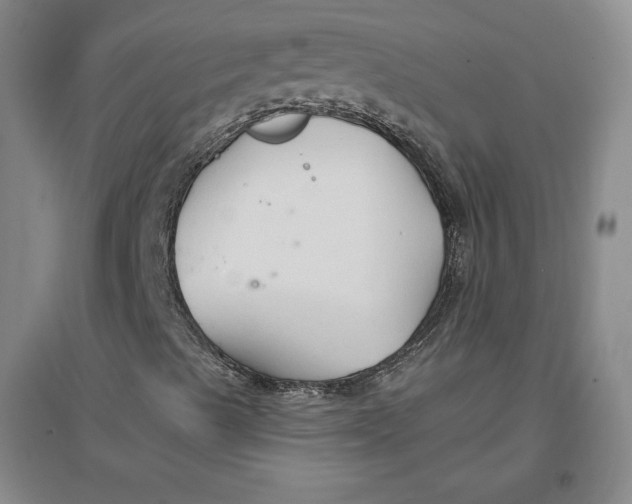 X0000096971489200802291108