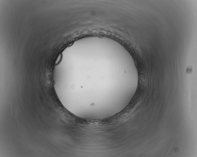 X0000096971490200802291108