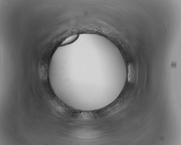 X0000096971491200802291108