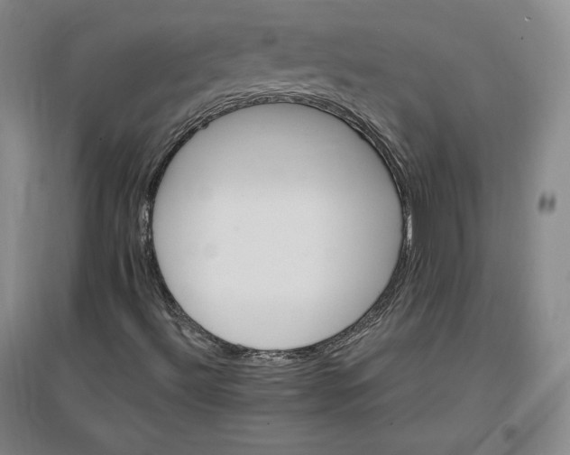 X0000096971492200802291108