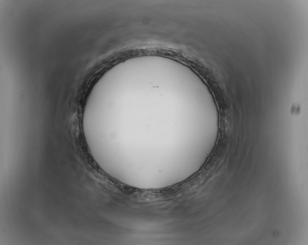 X0000096971493200802291108