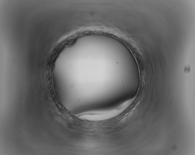 X0000096971494200802291108