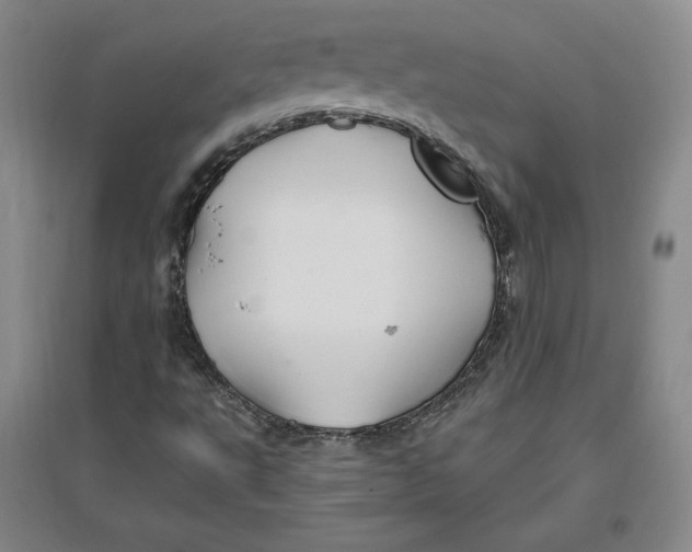 X0000096971495200802291108