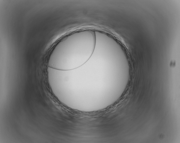 X0000096971496200802291108