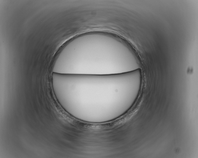 X0000096971497200802291109