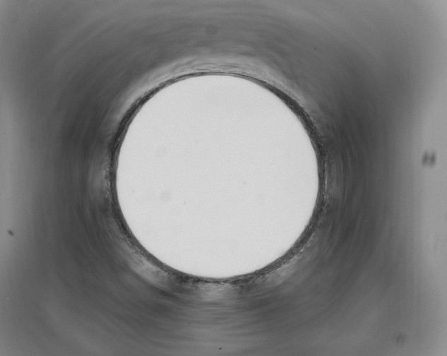 X0000096971498200802291109