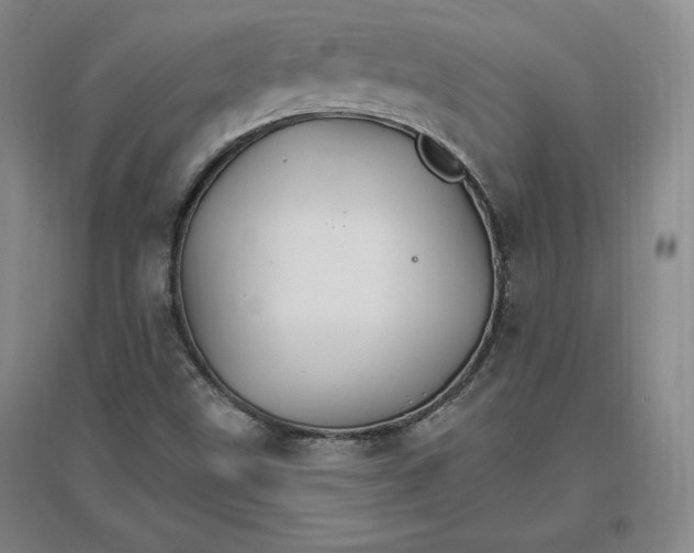 X0000096971499200802291109