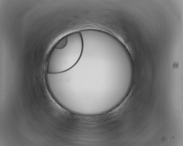 X0000096971500200802291109