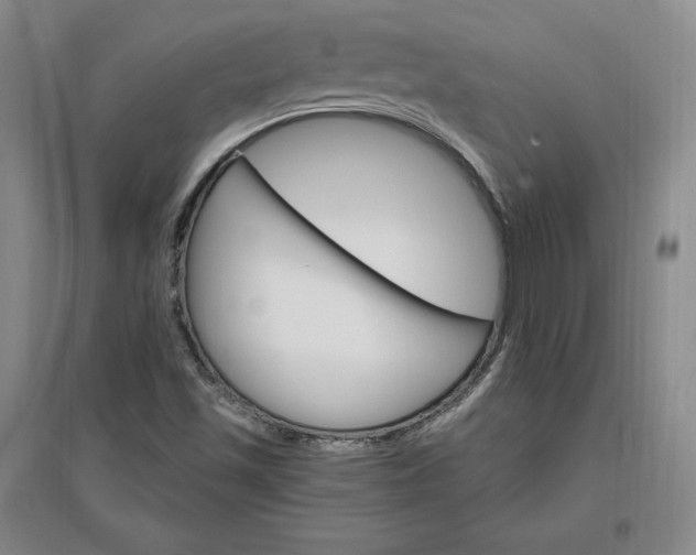 X0000096971501200802291109