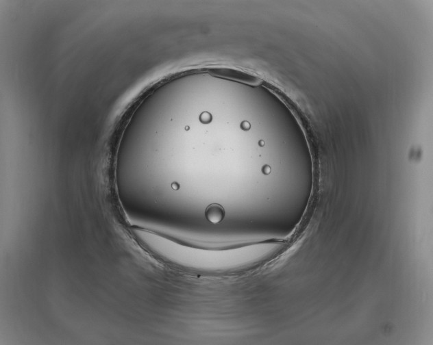 X0000096971502200802291109