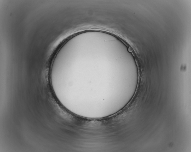 X0000096971503200802291109