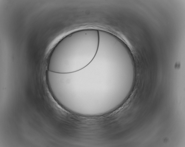 X0000096971504200802291109