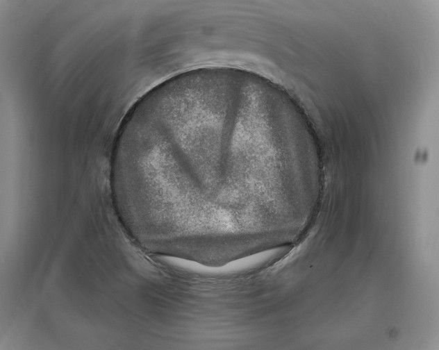 X0000096971505200802291109