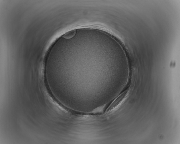 X0000096971506200802291109