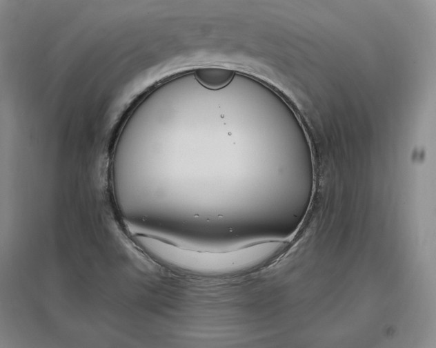 X0000096971507200802291109