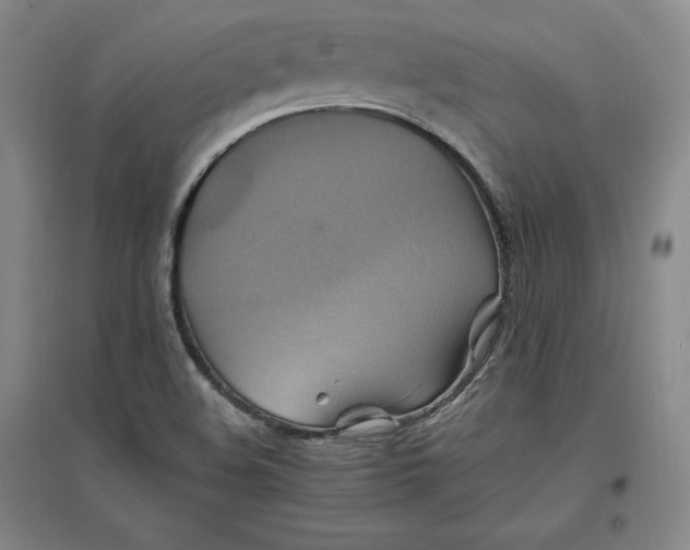 X0000096971508200802291109