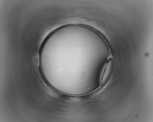 X0000096971509200802291109