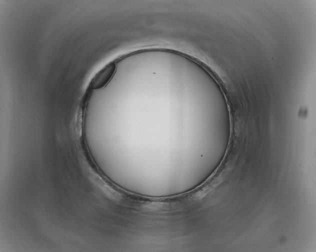 X0000096971510200802291109