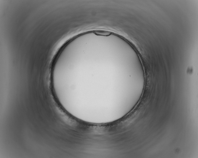 X0000096971511200802291109