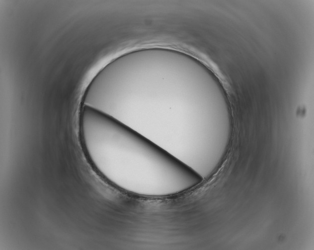 X0000096971512200802291109