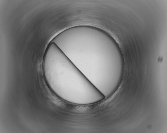 X0000096971513200802291109