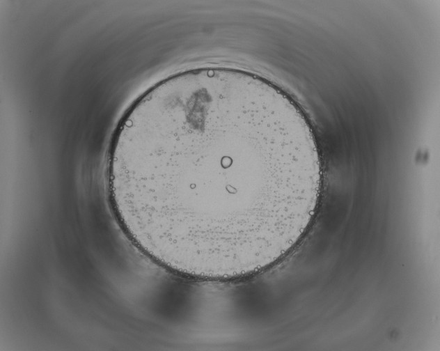 X0000096971514200802291109